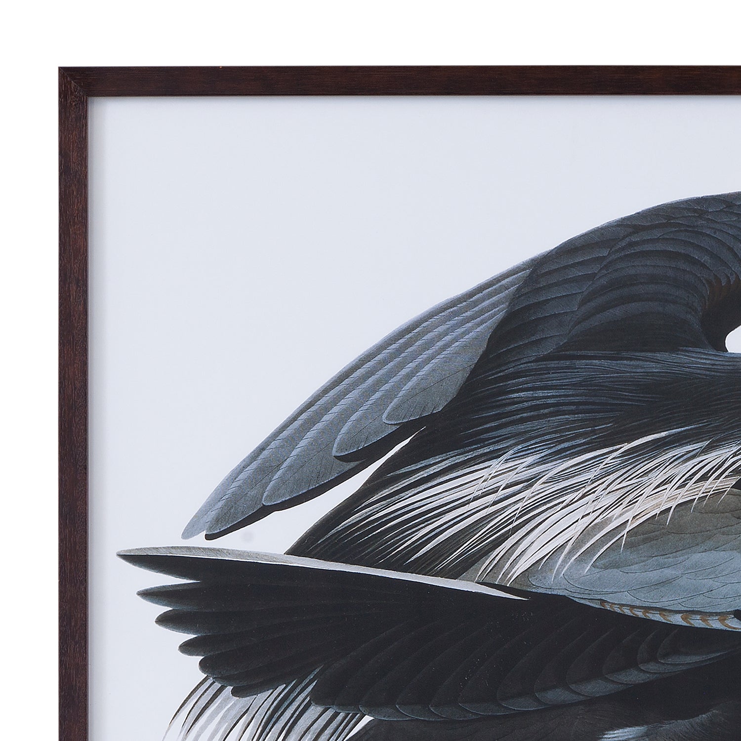 Bassett Mirror Audubon Great Blue Heron Framed Print