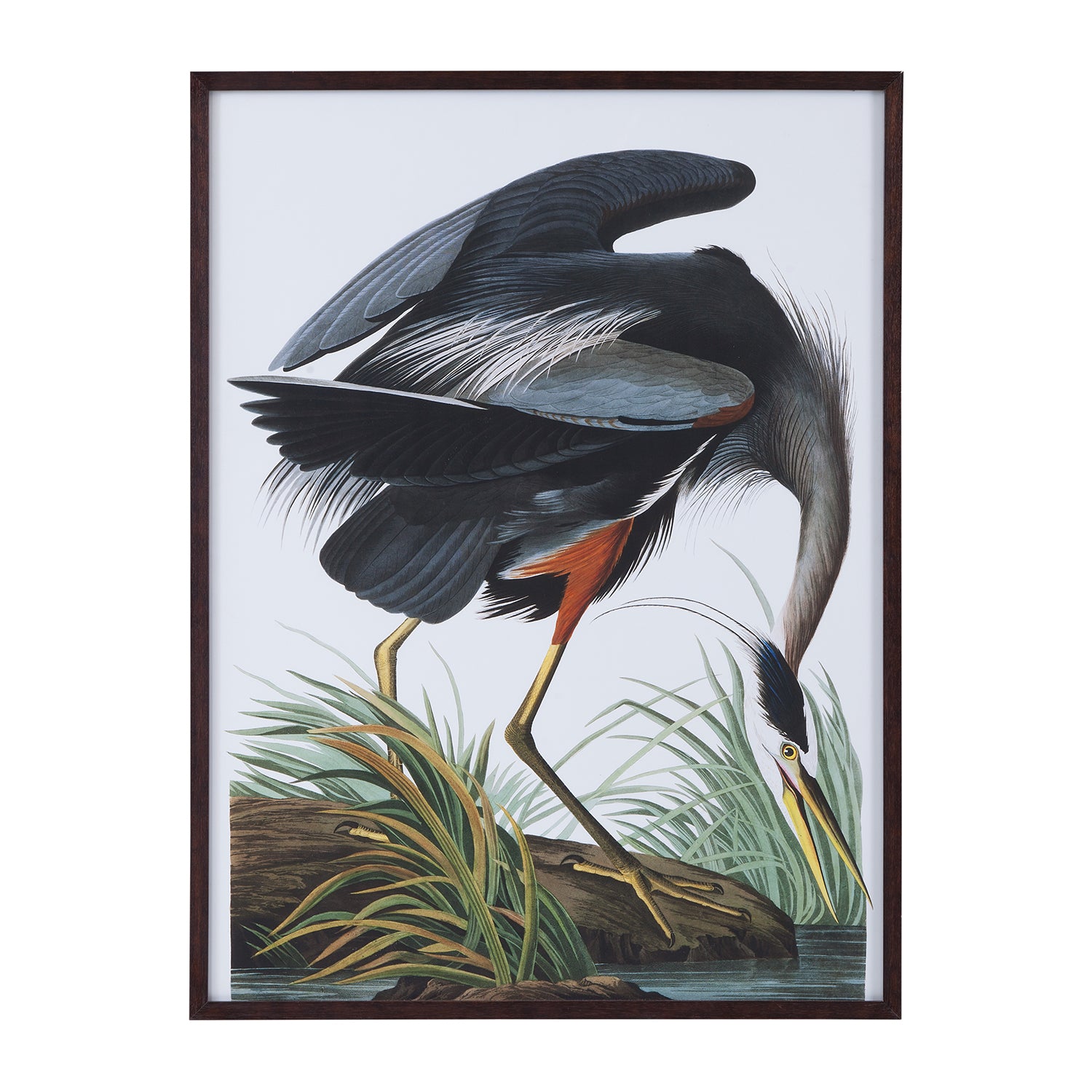 Bassett Mirror Audubon Great Blue Heron Framed Print
