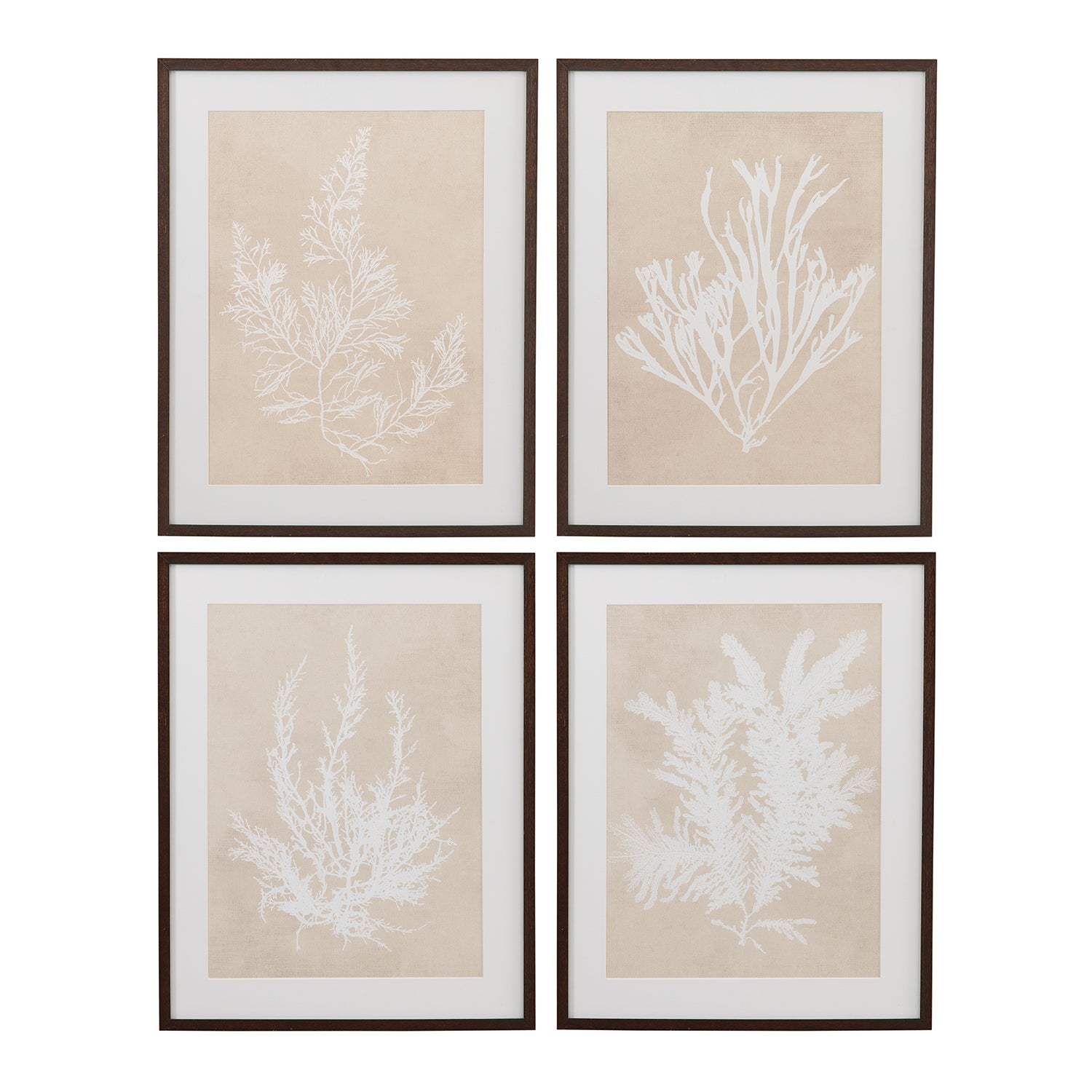 Bassett Mirror Marine Species Framed Artwork Set of 4
