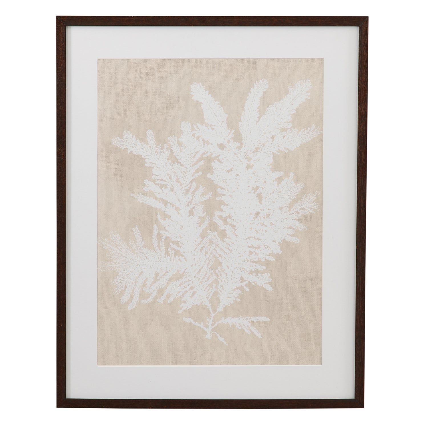 Bassett Mirror Ptilota Plumosa Framed Artwork