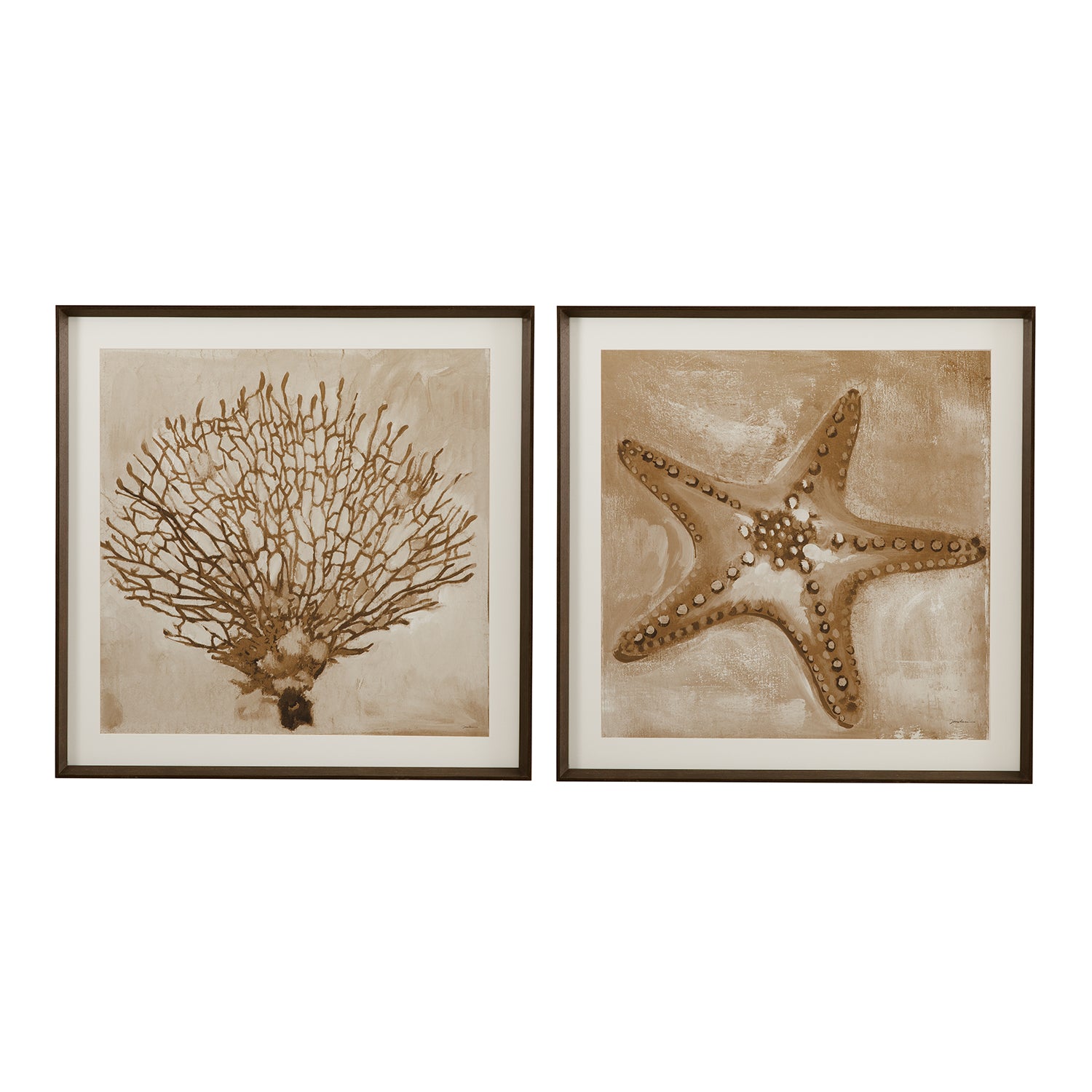 Bassett Mirror Neutral Starfish Framed Artwork