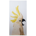 Sunpan Birds Of A Feather Framed Canvas Art Set Of 2 - Final Sale