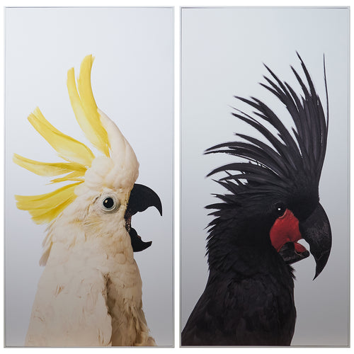 Sunpan Birds Of A Feather Framed Canvas Art Set Of 2