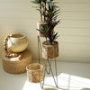 Three Tiered Seagrass Plant Stand