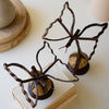 Sister Clara Butterfly Figurine Set of 2