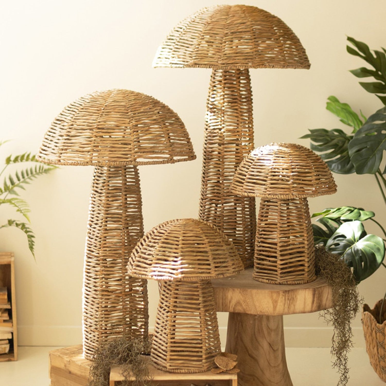 Woven Seagrass Mushroom Set of 4