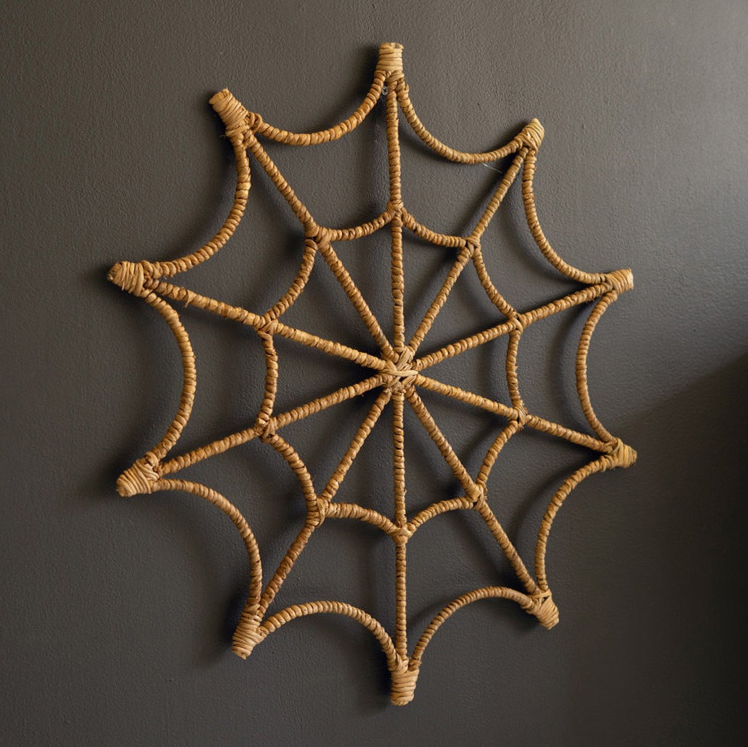 Spider Web Wall Hanging