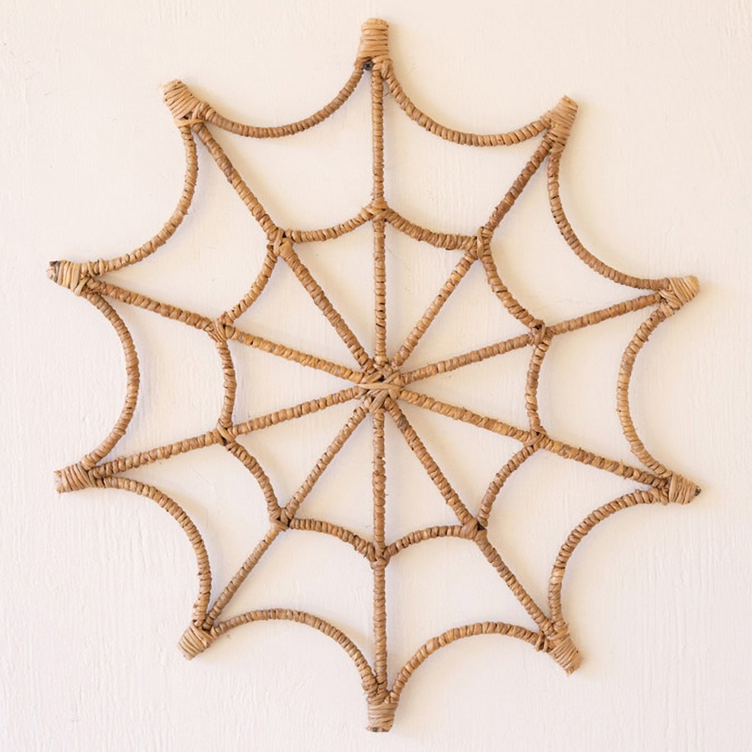 Spider Web Wall Hanging