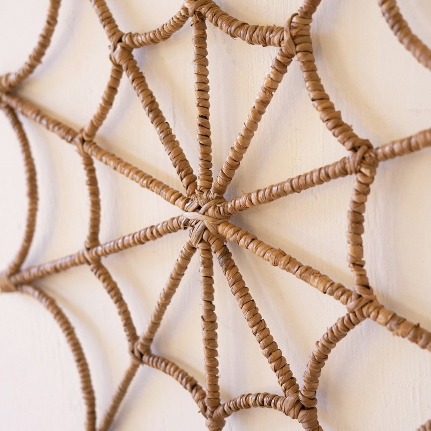 Spider Web Wall Hanging