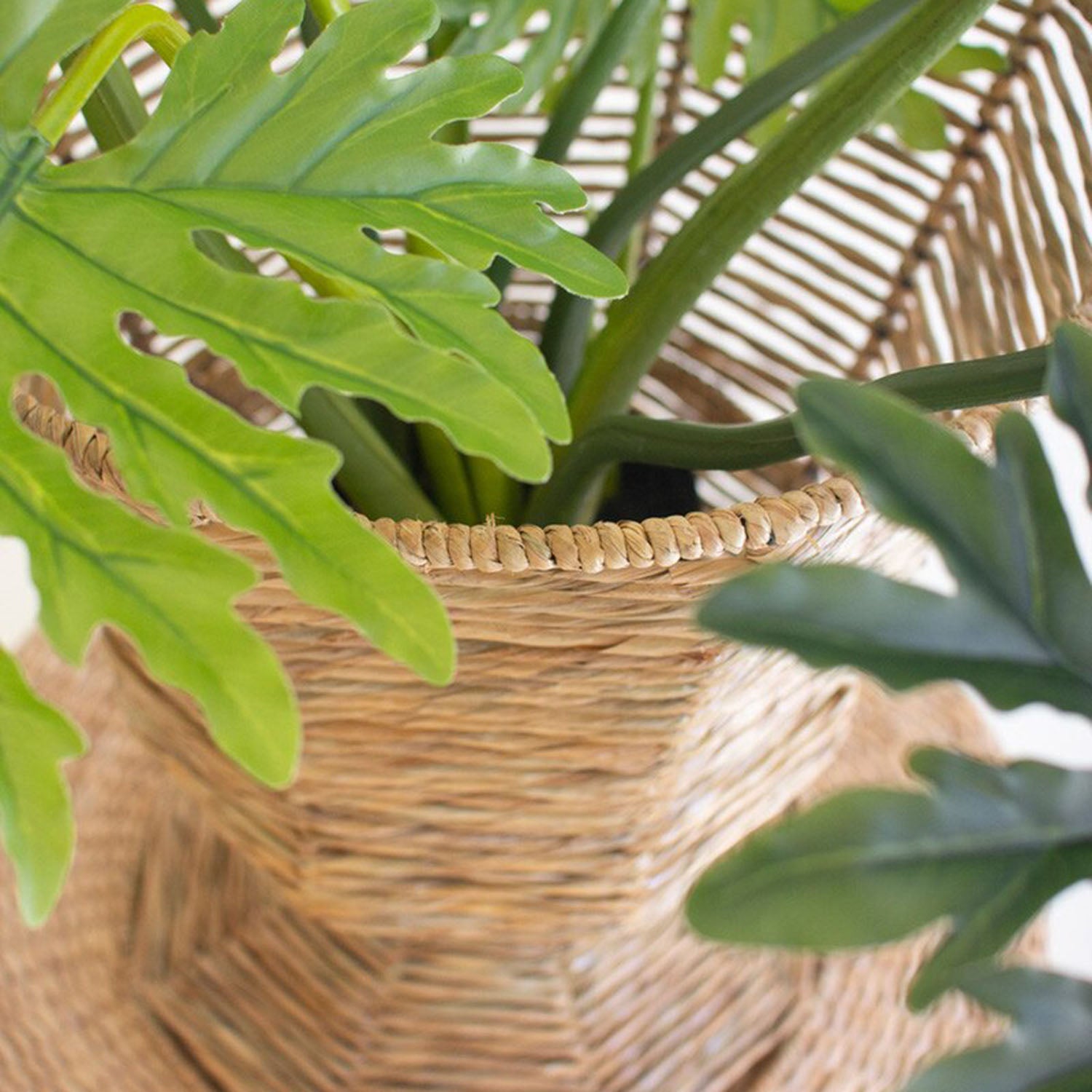 Iron and Seagrass Urn