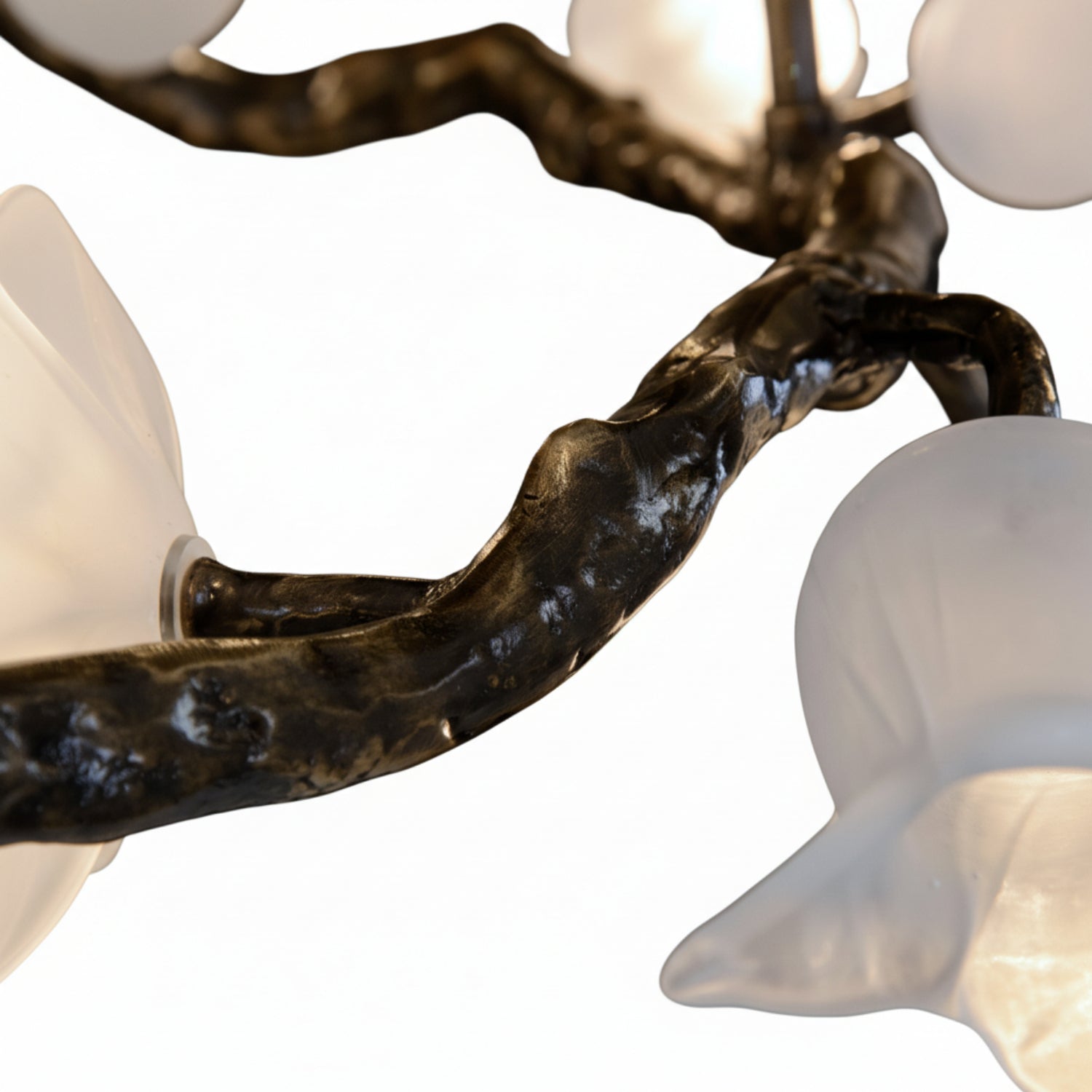 John Richard Churippu Magnolia & Tulip Glass Bronze Twelve-Light Halo Chandelier