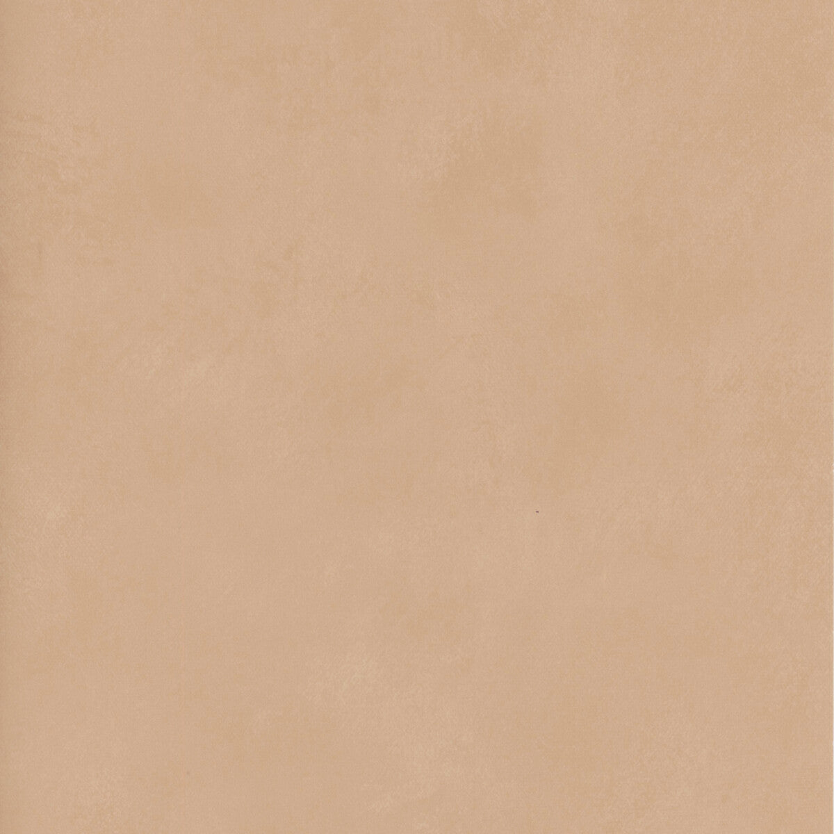 Andrew Martin x Kravet Couture Japan Blush Wallpaper