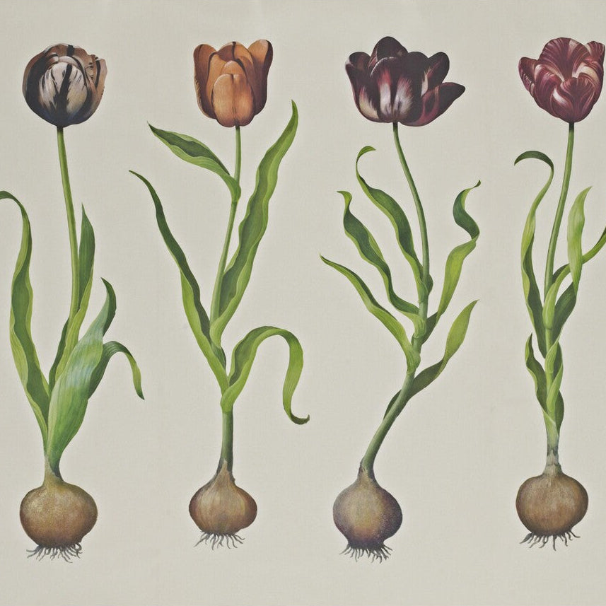 Andrew Martin x Kravet Couture Tulips 310 Wallpaper