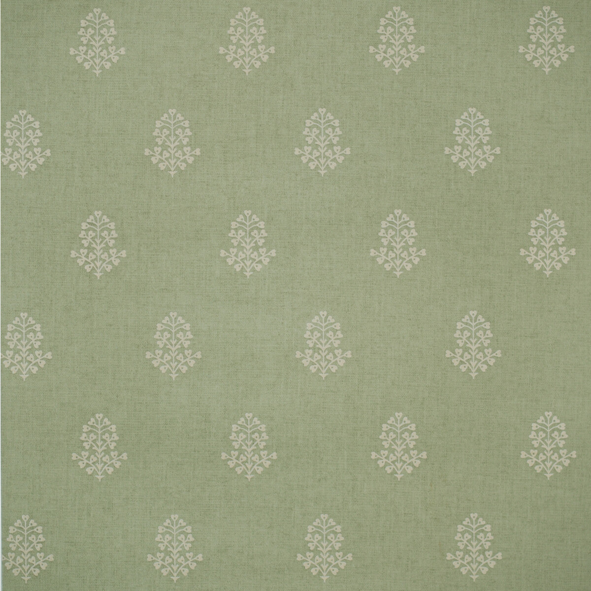 Andrew Martin x Kravet Couture Cow Parsley Leaf Wallpaper