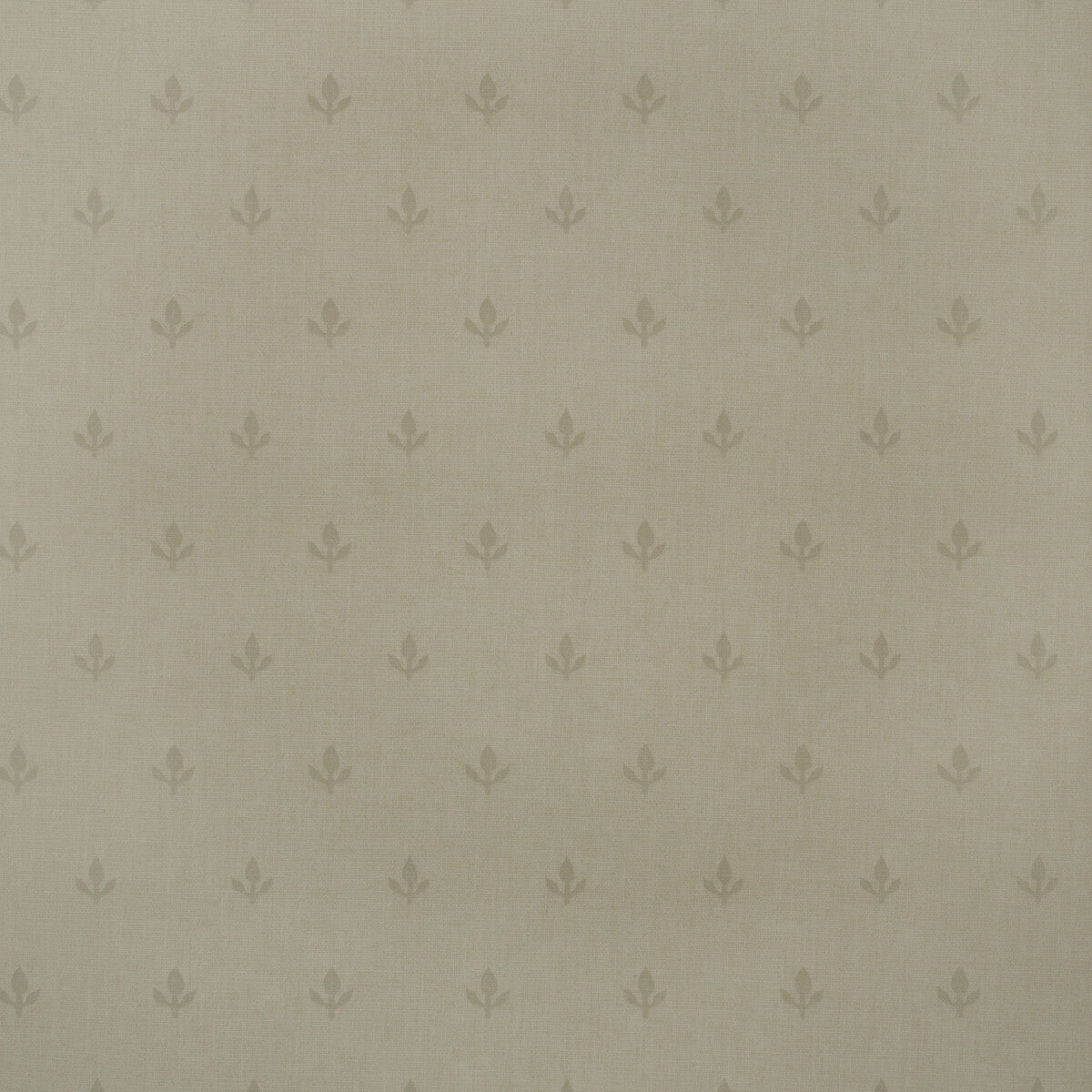 Andrew Martin x Kravet Couture Crocus Stone Wallpaper