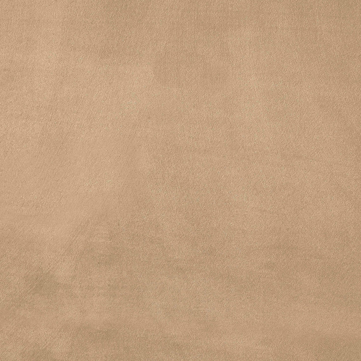 Kendall Beige Velvet Upholstered Bed
