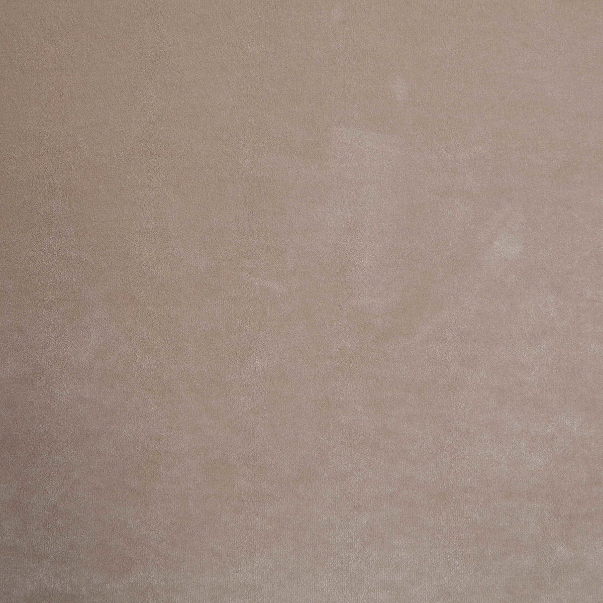 Kendall Taupe Velvet Upholstered Bed