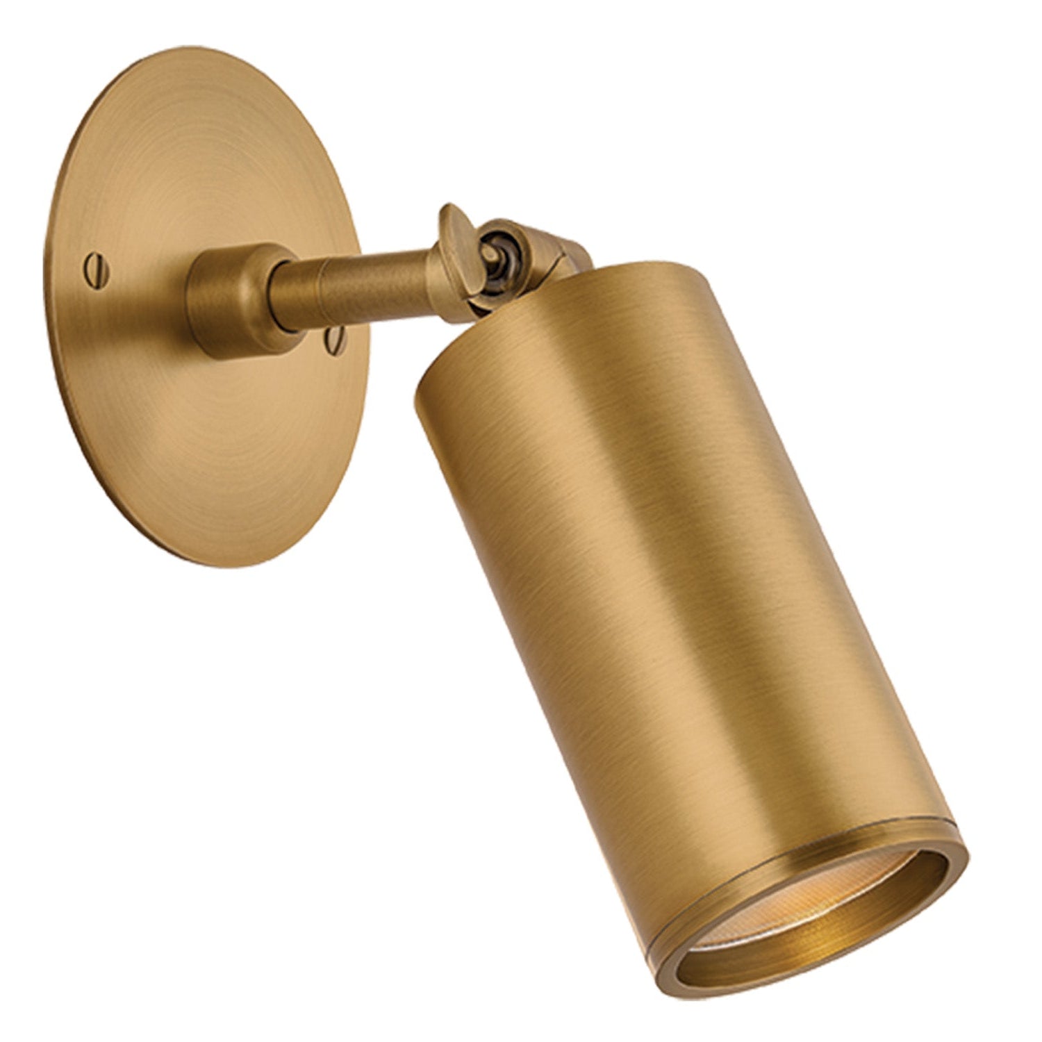 Troy Lighting Caleb Patina Brass Wall Sconce