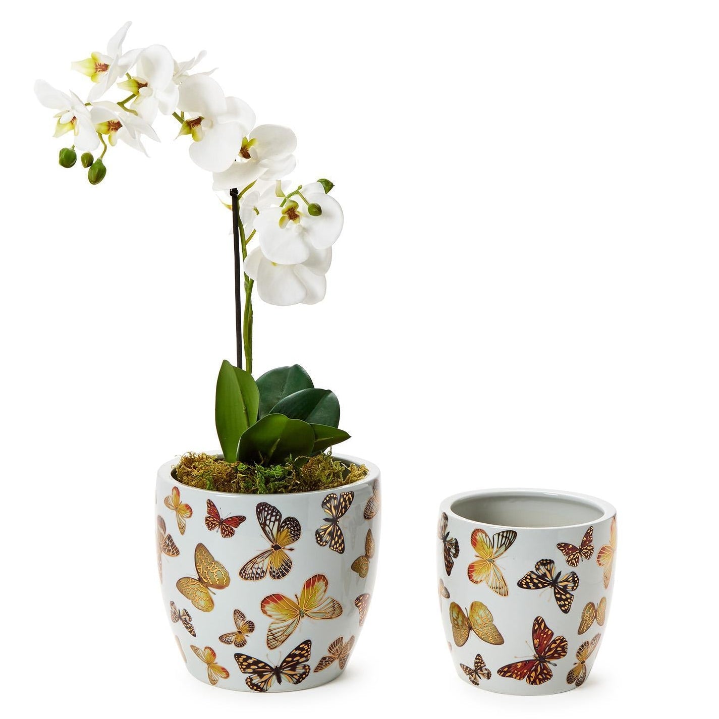 Butterfly Garden Planter with Golden Accents Set of 2