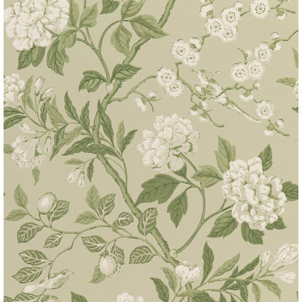 G P & J Baker Emperor'S Garden Soft Green Wallpaper