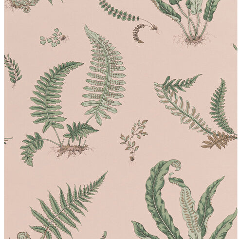 G P & J Baker Ferns Blush Wallpaper