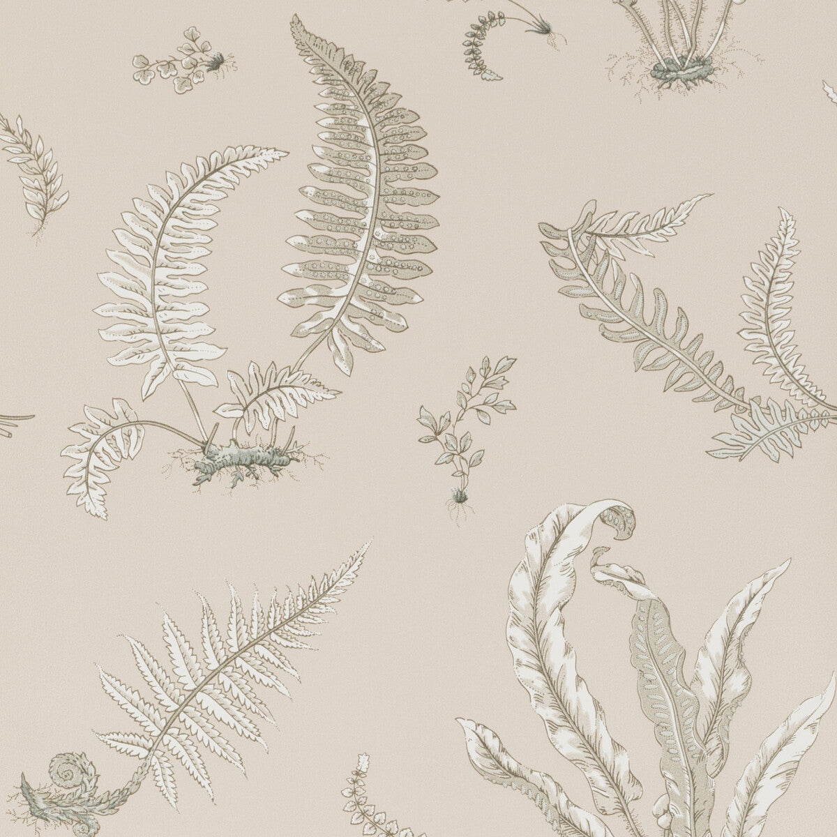 G P & J Baker Ferns Linen Wallpaper