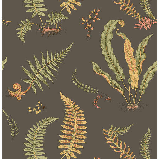 G P & J Baker Ferns Charcoal Wallpaper
