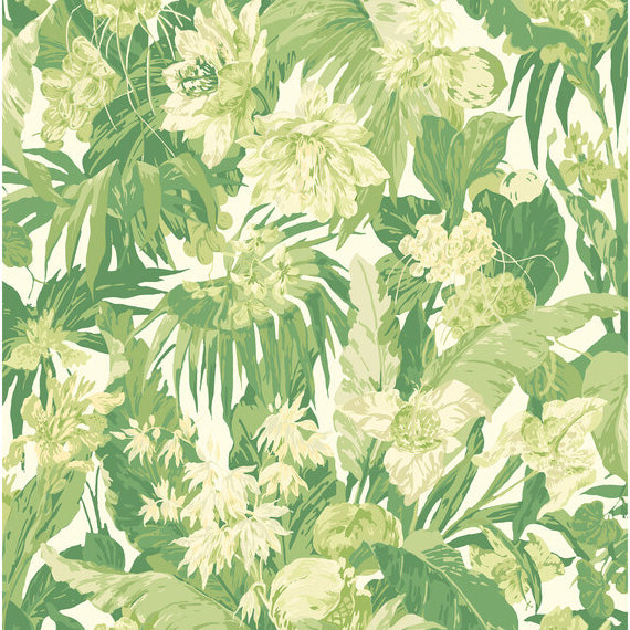 G P & J Baker Tropical Floral Green Wallpaper