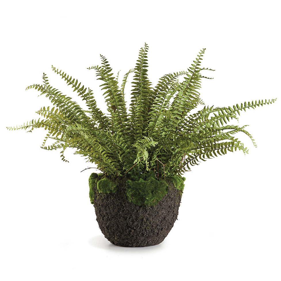 Napa Home & Garden Boston Fern Faux Plant