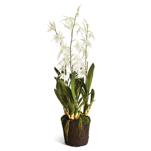 Spider Orchid Drop-In Faux Plant