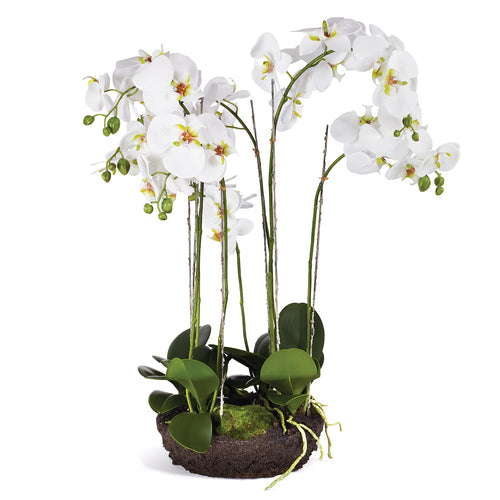 Phalaenopsis Bowl Drop-In Faux Plant