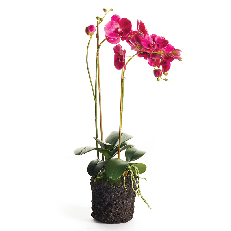 Phalaenopsis X2 Drop-In Faux Plant