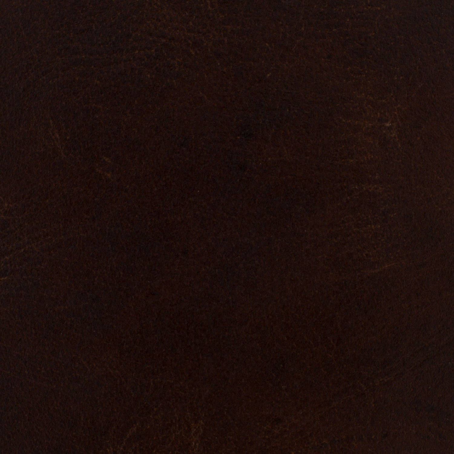 Hooker Furniture Maya Wing Club Chair