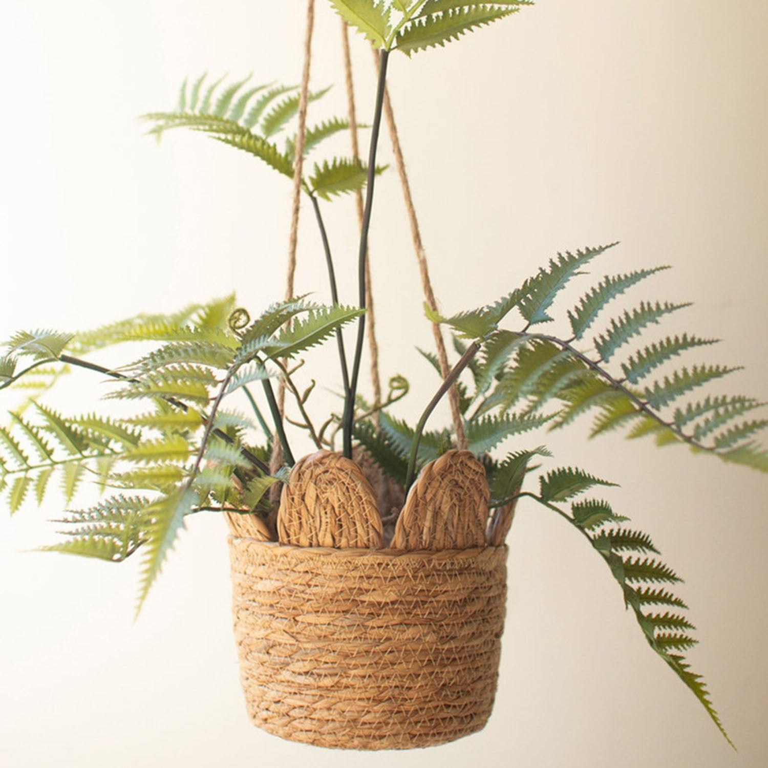 Seagrass Hanging Basket Set of 6