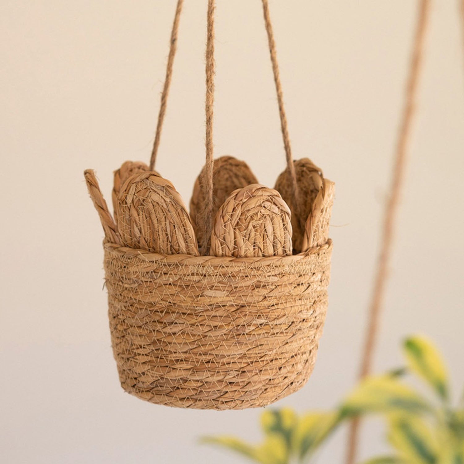 Seagrass Hanging Basket Set of 6