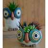 Owl Planter Set of 3