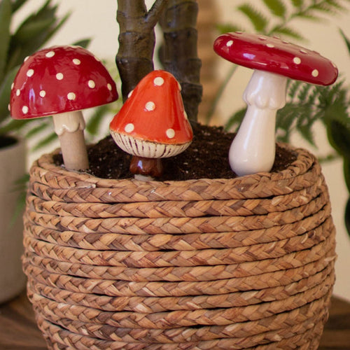 Mushroom Plant Stick Figurine Set of 3