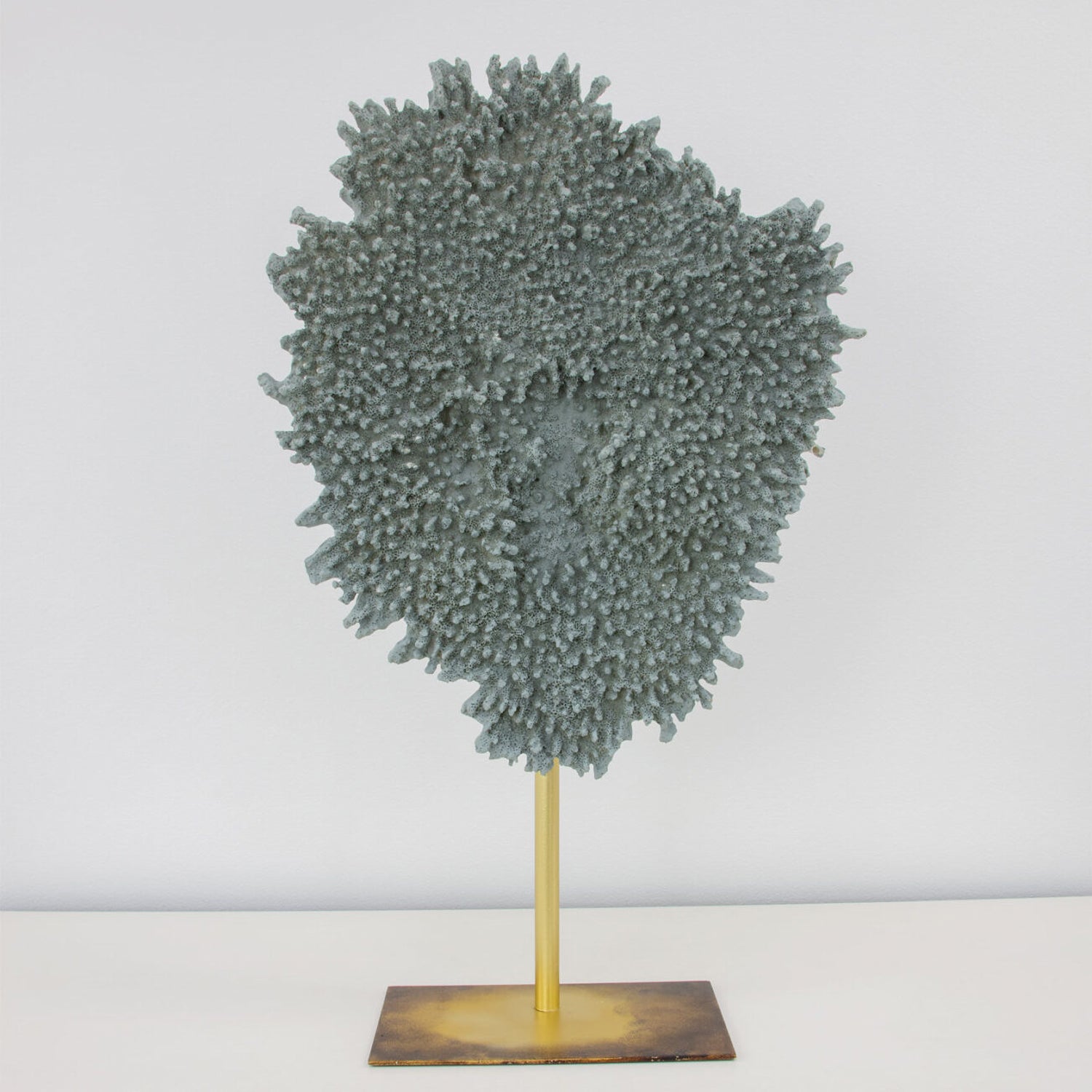 Coral Plate Sculpture