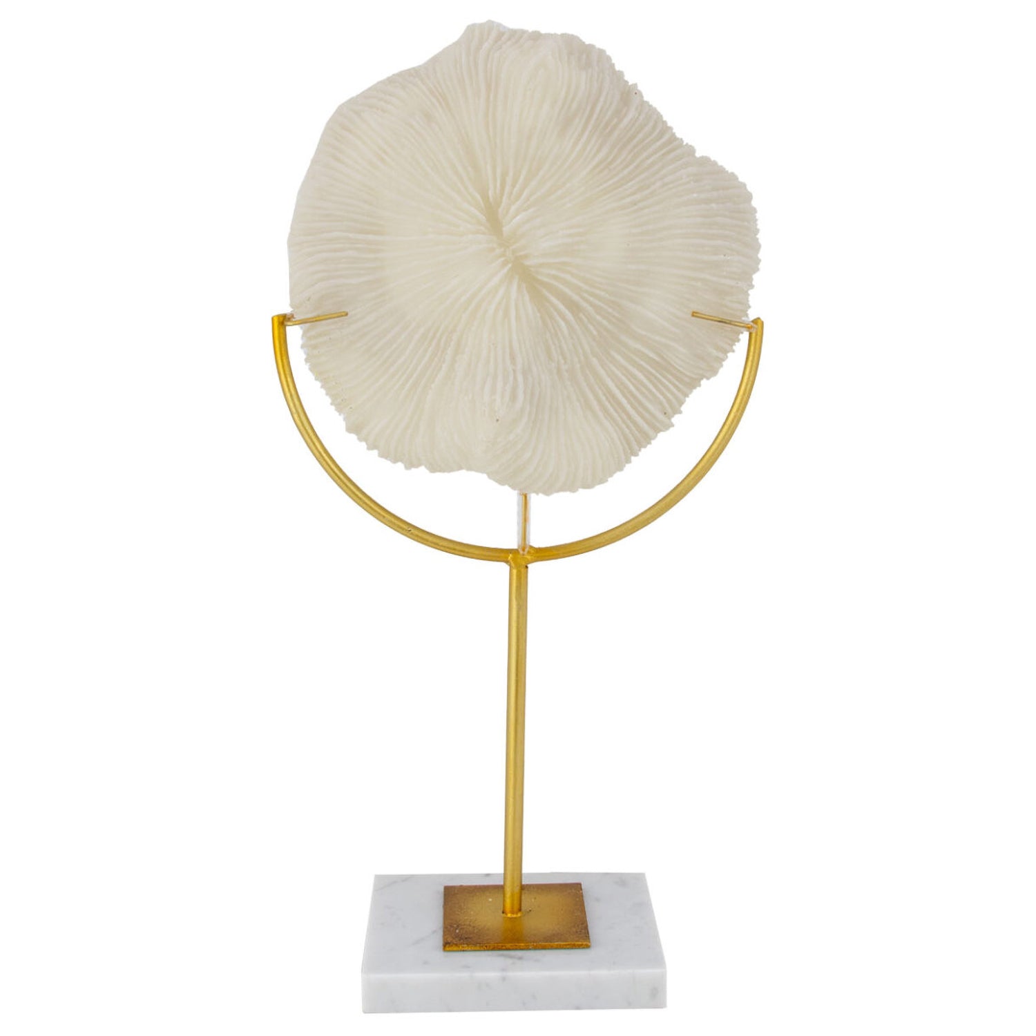White Coral Sculpture