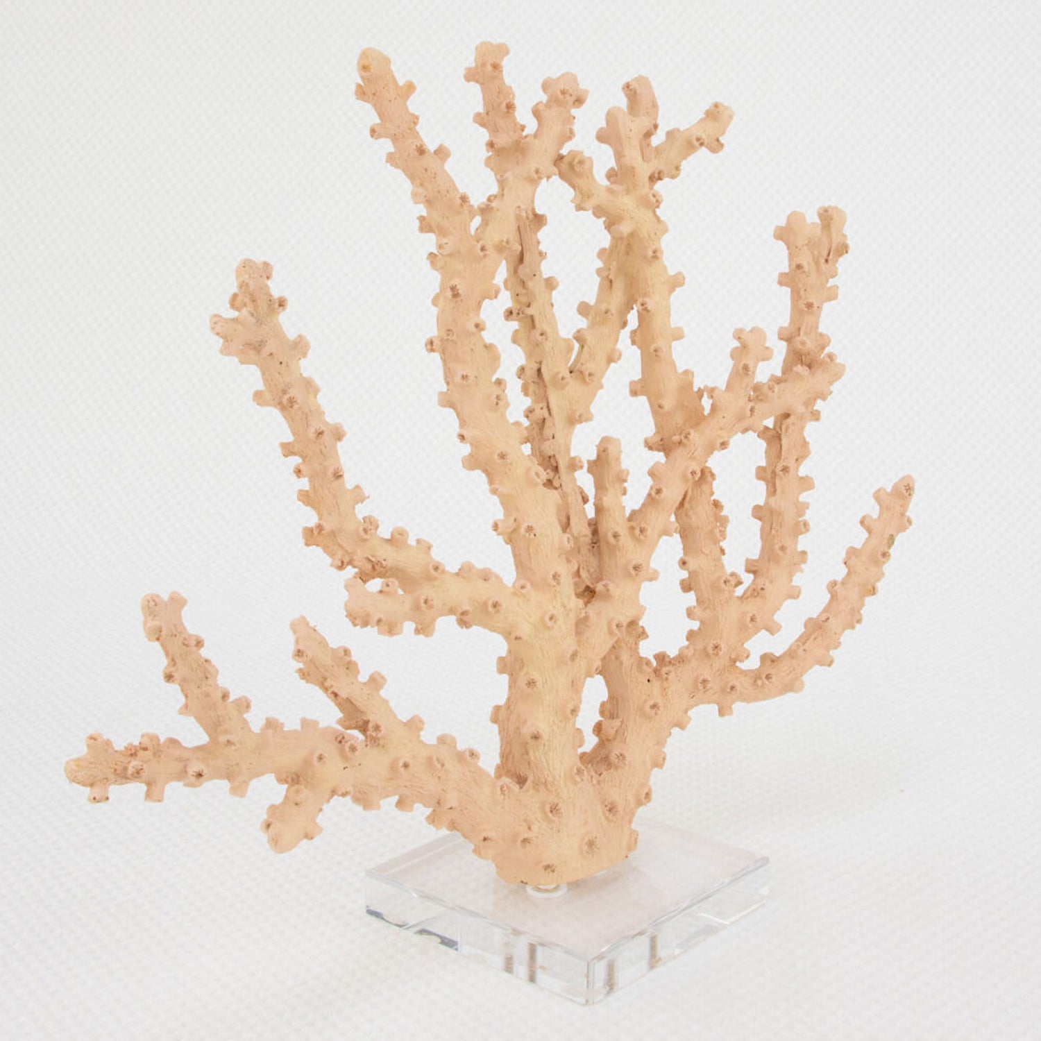Coral Pink Sculpture