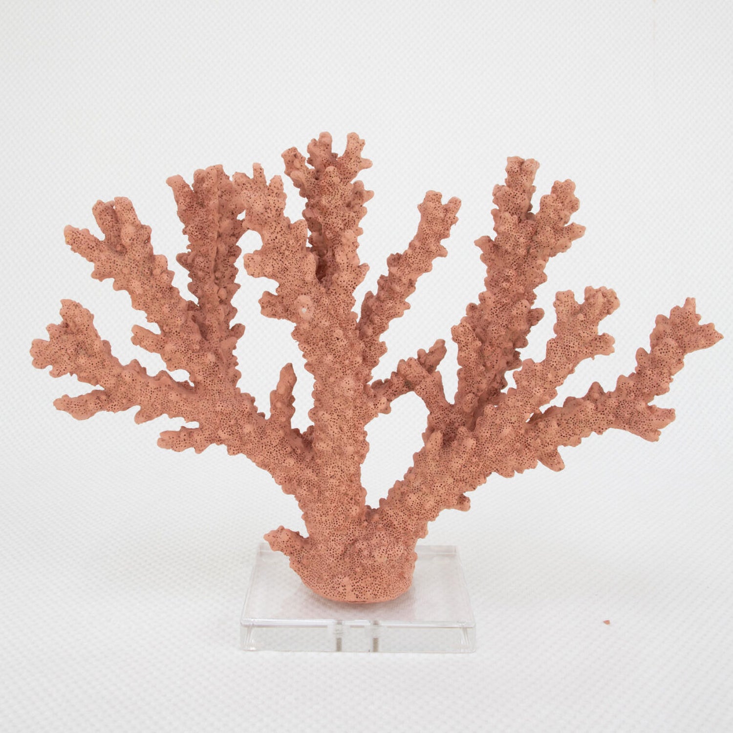 Coral Burst Sculpture
