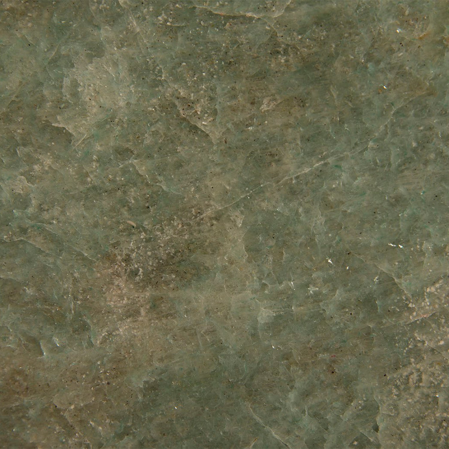 Phillips Collection Gem Wall Tile