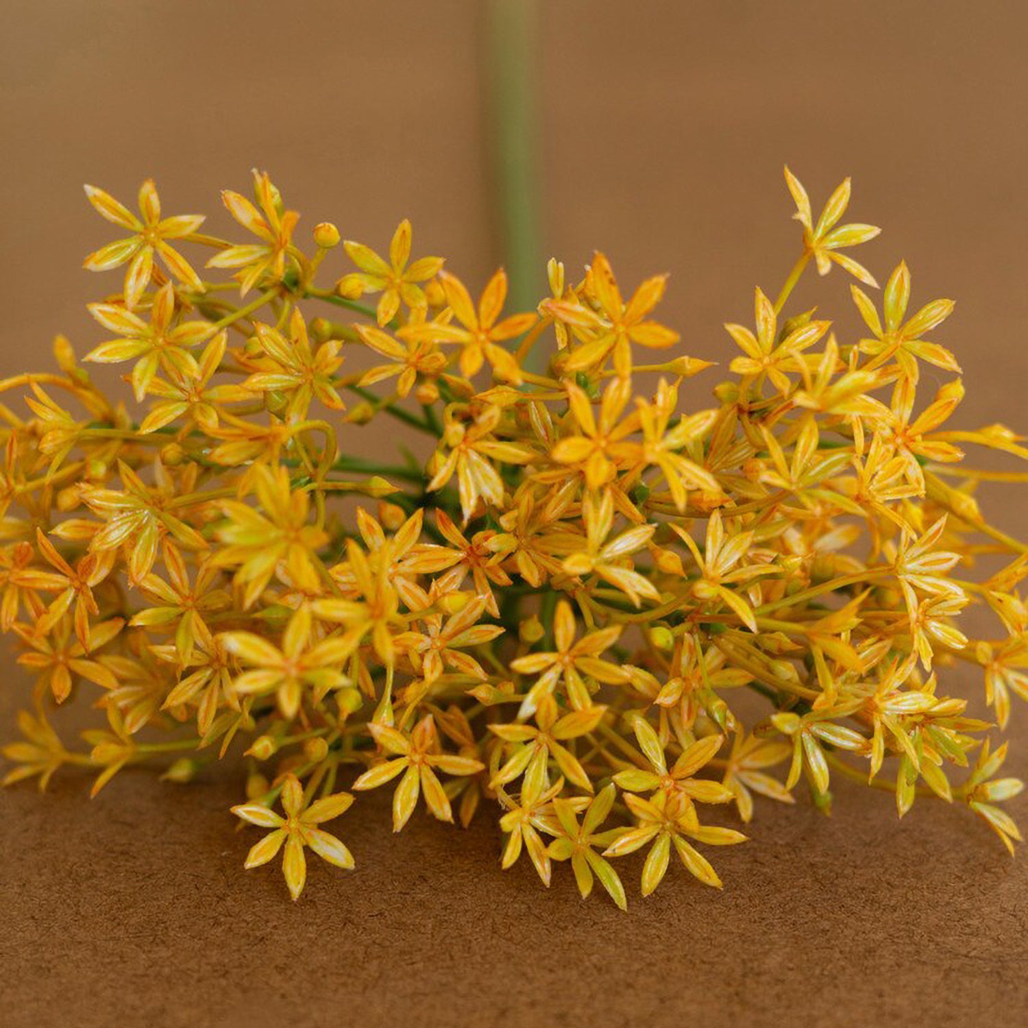 Artificial Yellow Scallion Flower Stem Set of 6