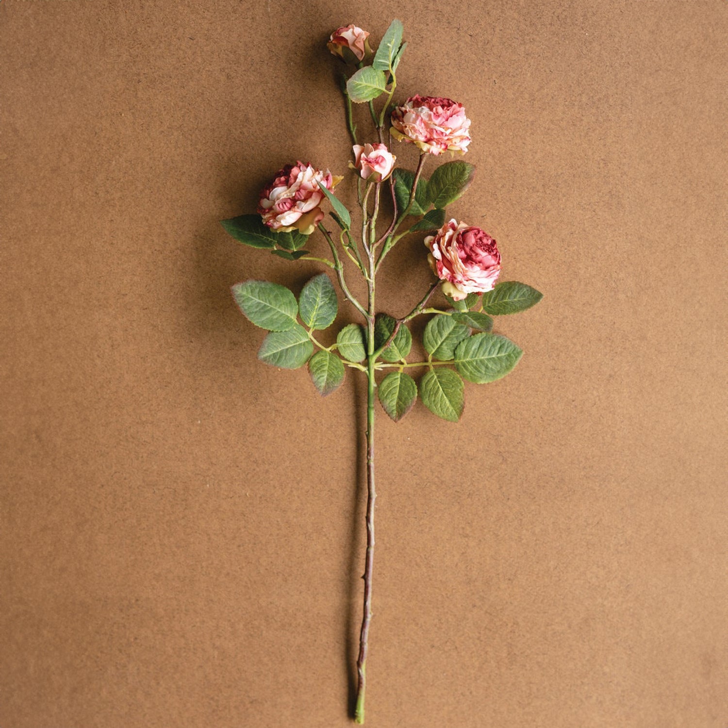 Antique Garden Rose Faux Plant Stem Set of 6