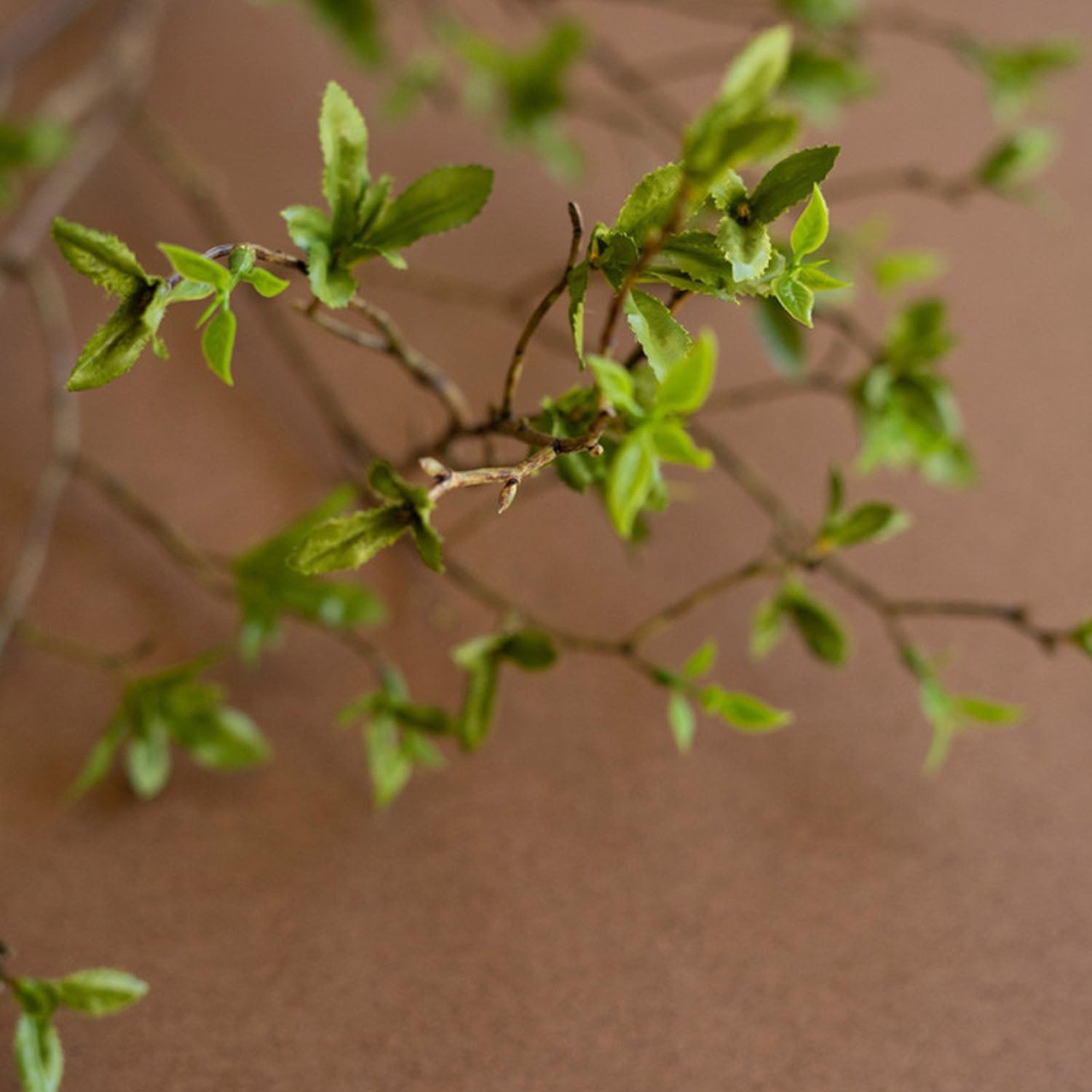 Faux Budding Leaf Spray Set of 6