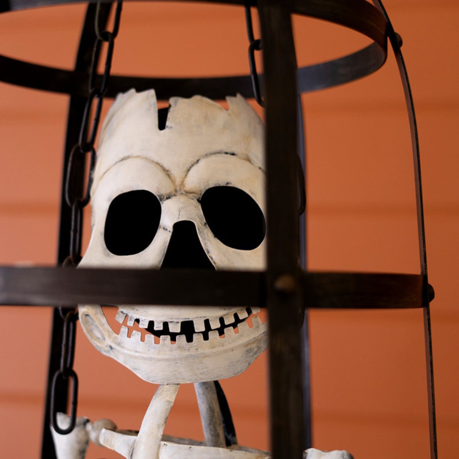 Halloween Skeleton in a Cage
