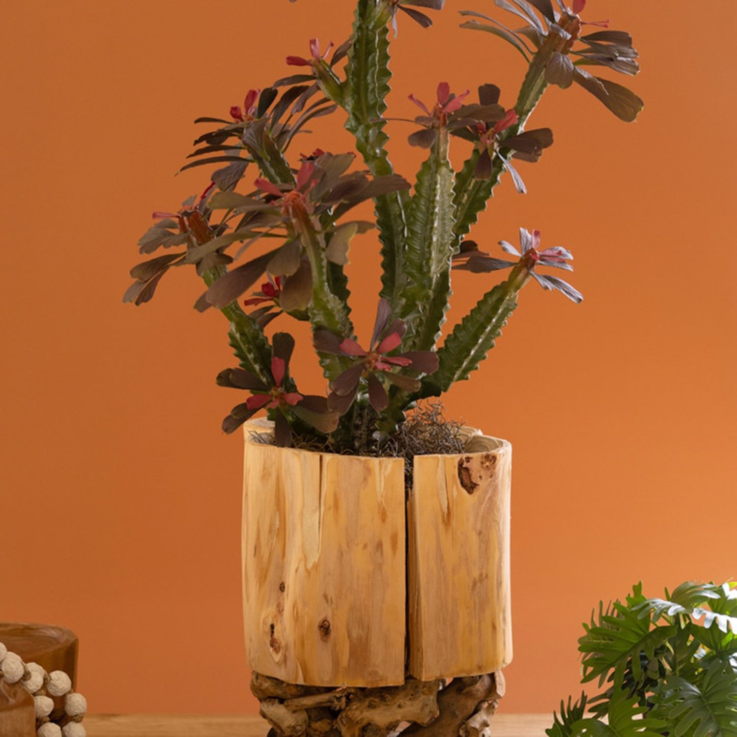Recycled Firwood Vessel on a Mulberry Root Base