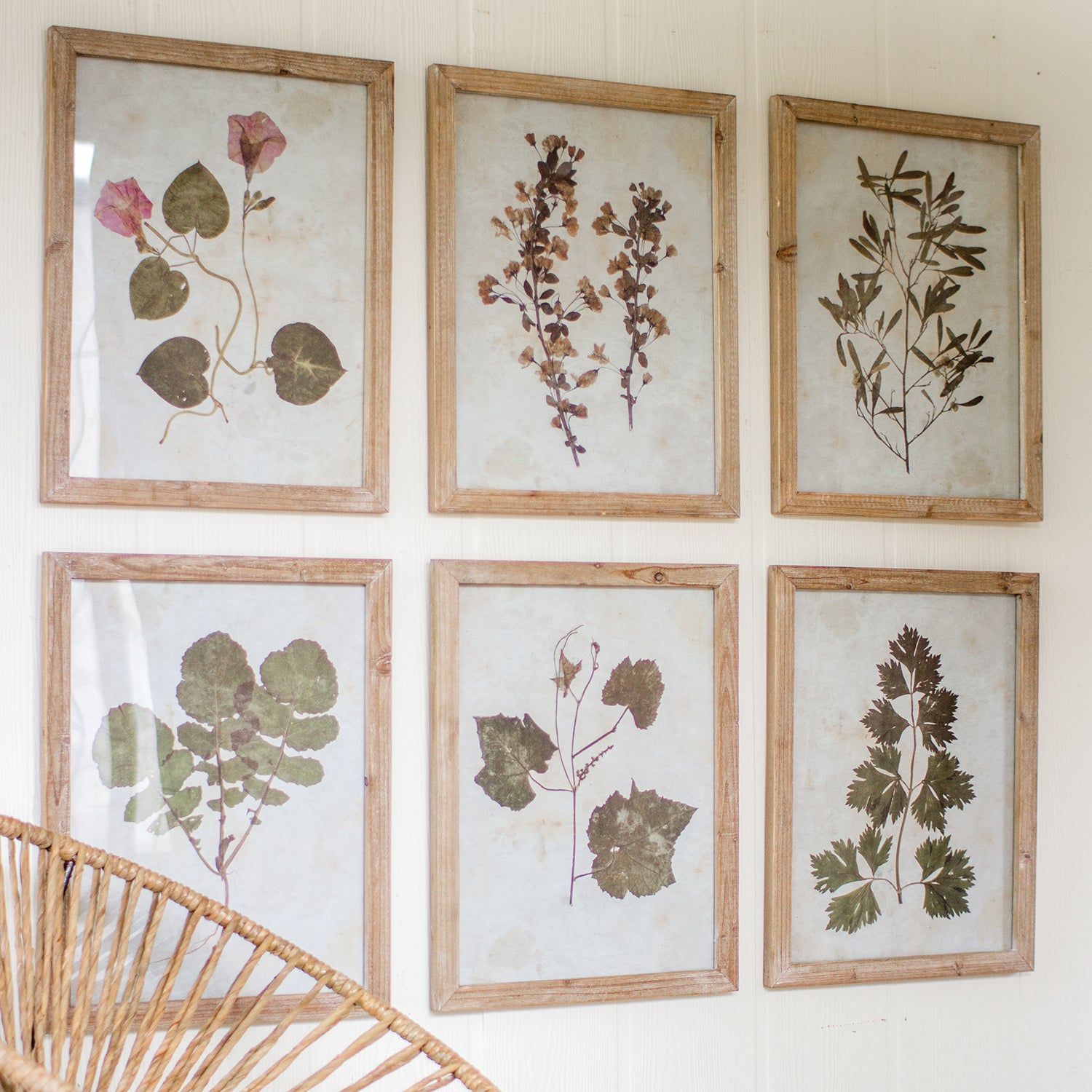 Leaf Print Wall Art Set of 6
