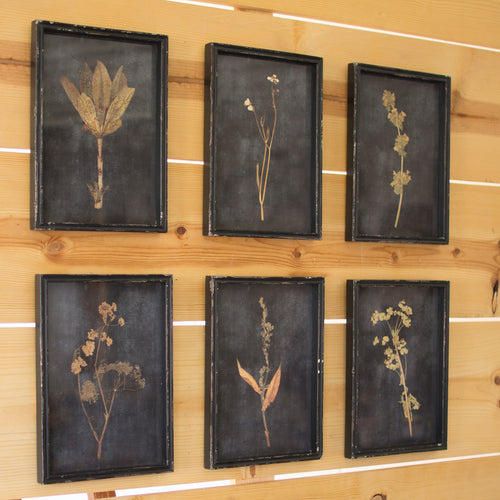 Botanical Print Wall Art Set of 6