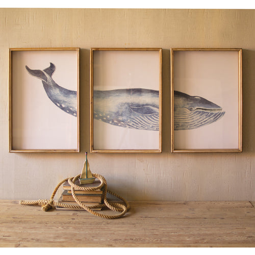 Triptych Whale Print Framed Art Set of 3